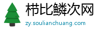 栉比鳞次网